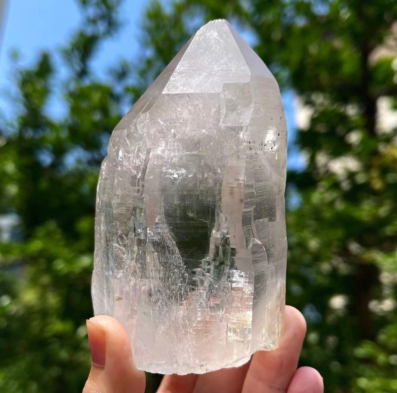 Himalayan Quartz Specimen